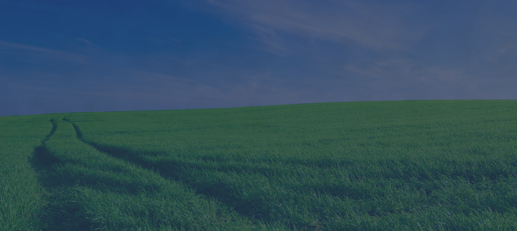 Banner 1